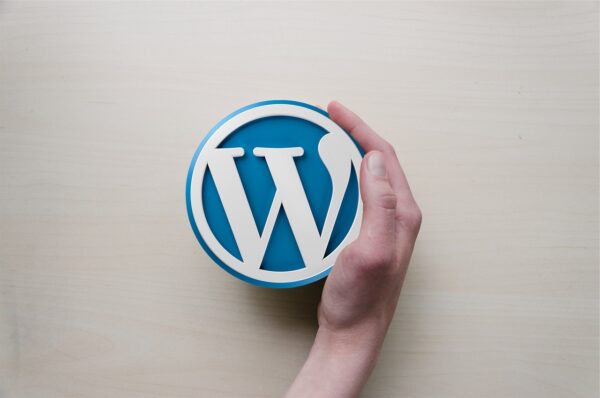 Wordpress logo in hand